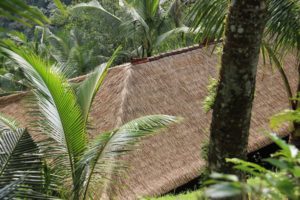 Construction Materials, Costa Rica