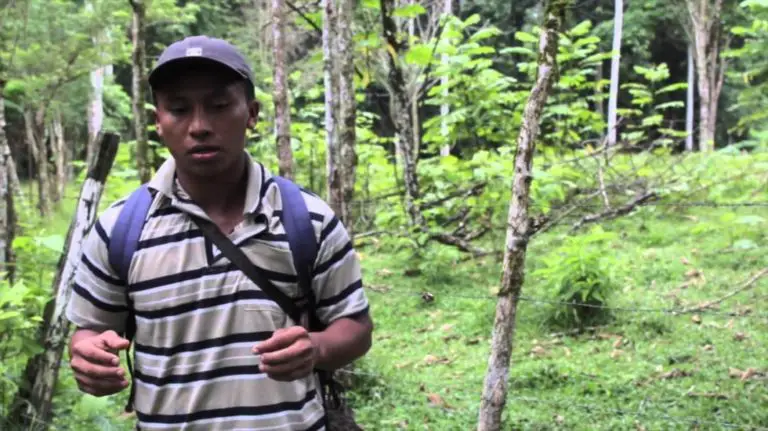 Costa Rica’s First Indigenous Tour Agency – Meet the BriBri People