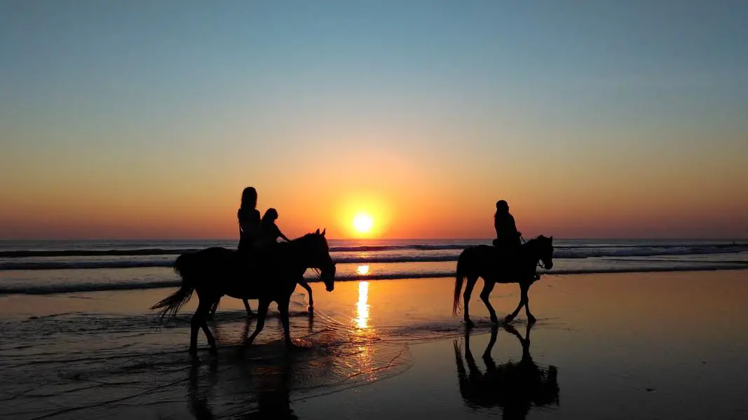 horse rides on the beach