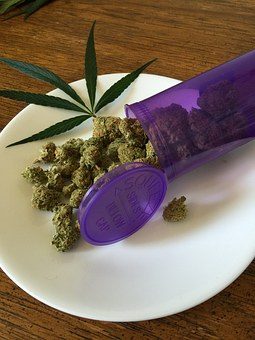 costa rica marijuana