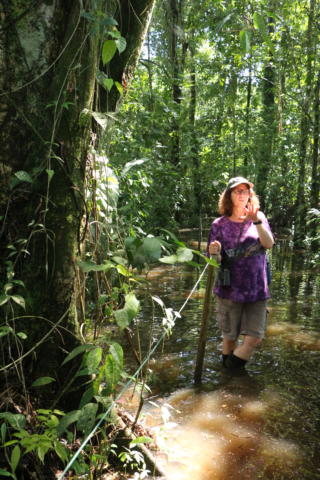 Interview Barbara Hartung Tour Guide Tortuguero