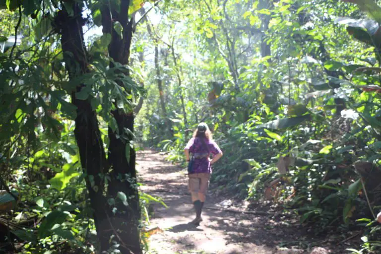 Confessions of a foreign tour guide in Costa Rica