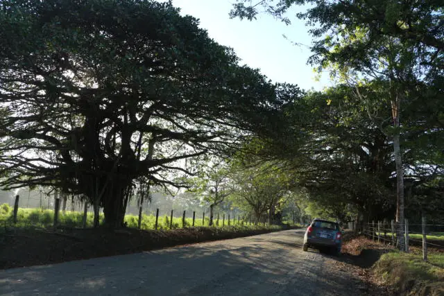 Osa Peninsula Road Way