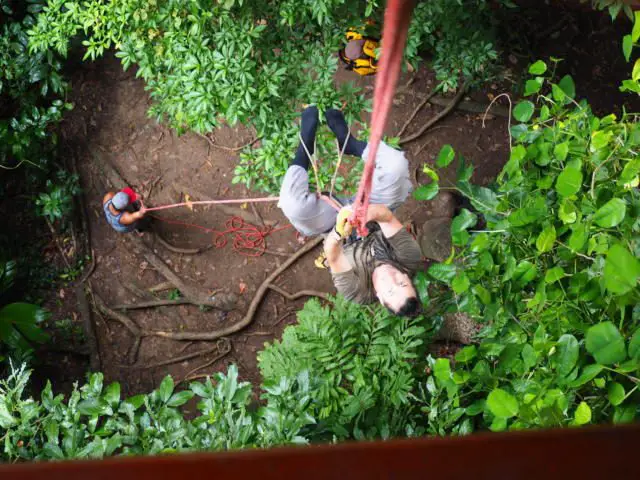 Costa Rica Tree House