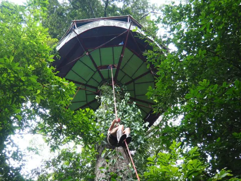 A Tropical Fairytale, in Costa Rica’s Most Ecological Treehouse