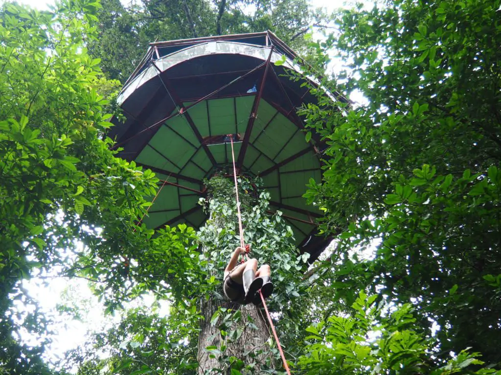 costa rica tree house