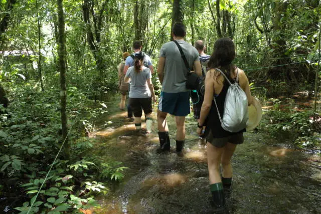 Tours Tortuguero National Park