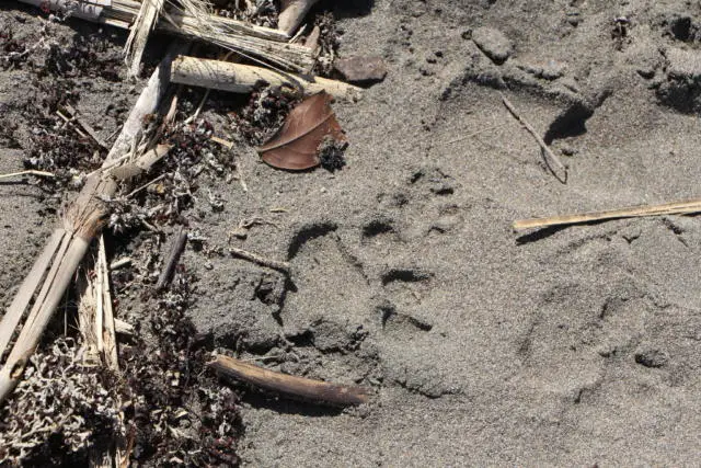 Tours Tortuguero National Park