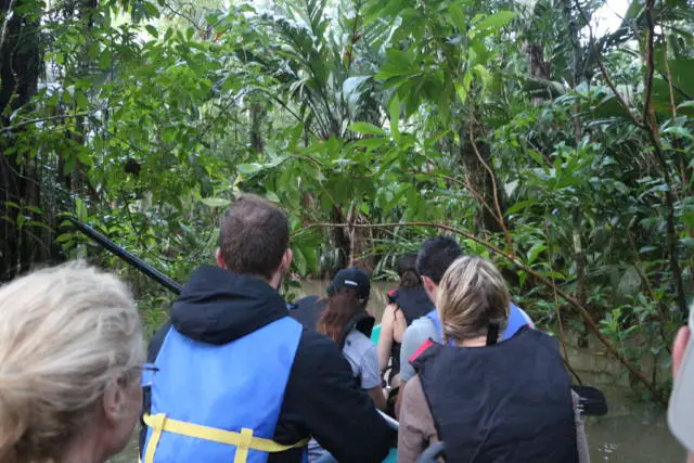 Tours Tortuguero National Park