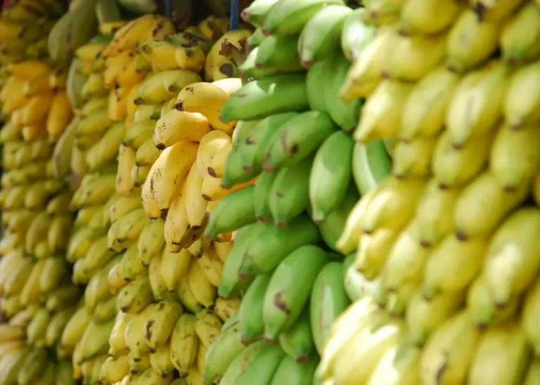 University Students Made Biodegradable Plastic Bags From Bananas