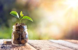 Prosperity Fortune Jar Plant Environment Costa Rica