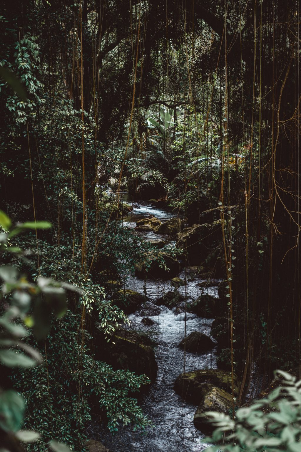 costa rica rivers