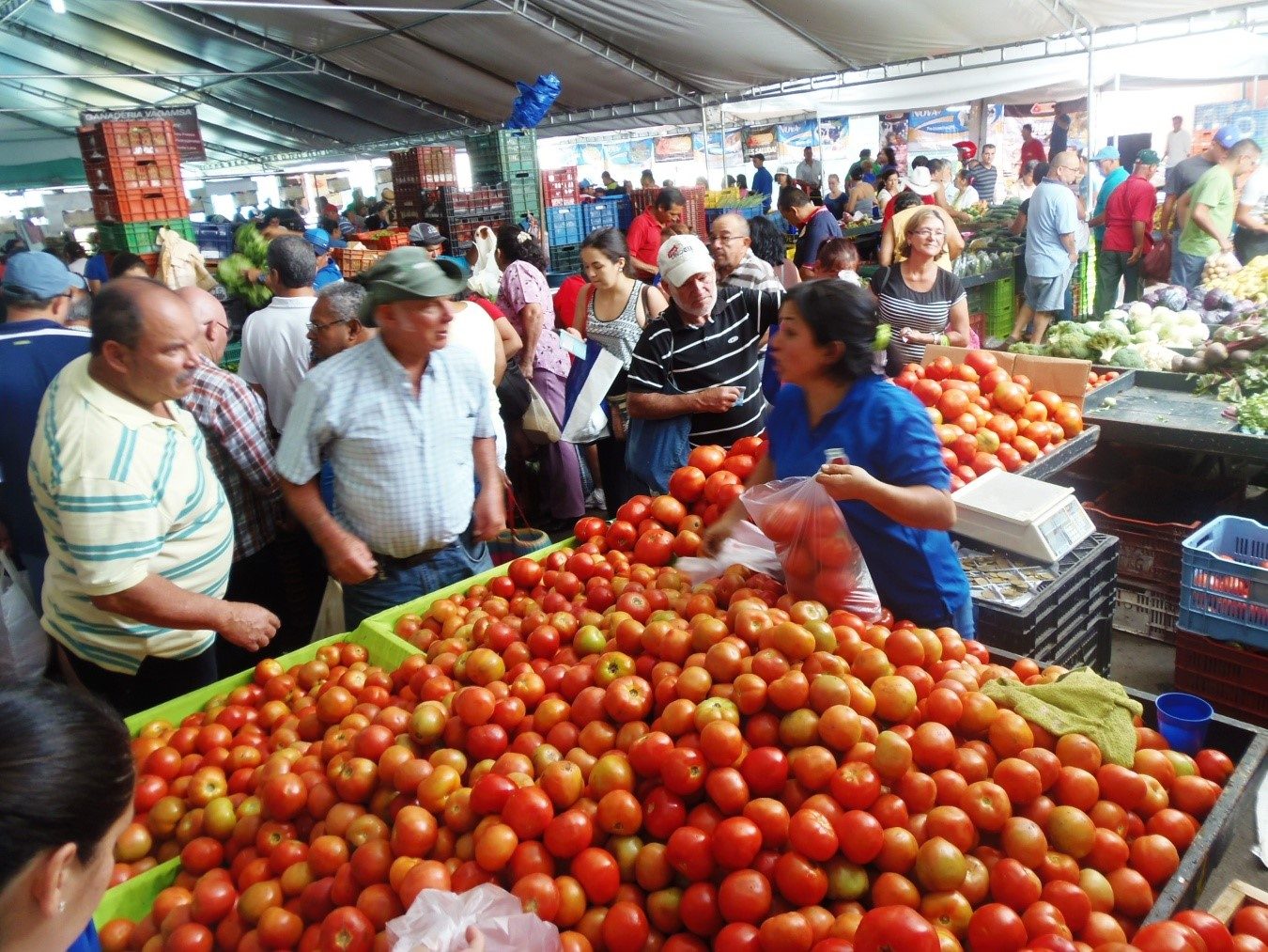 farmers market