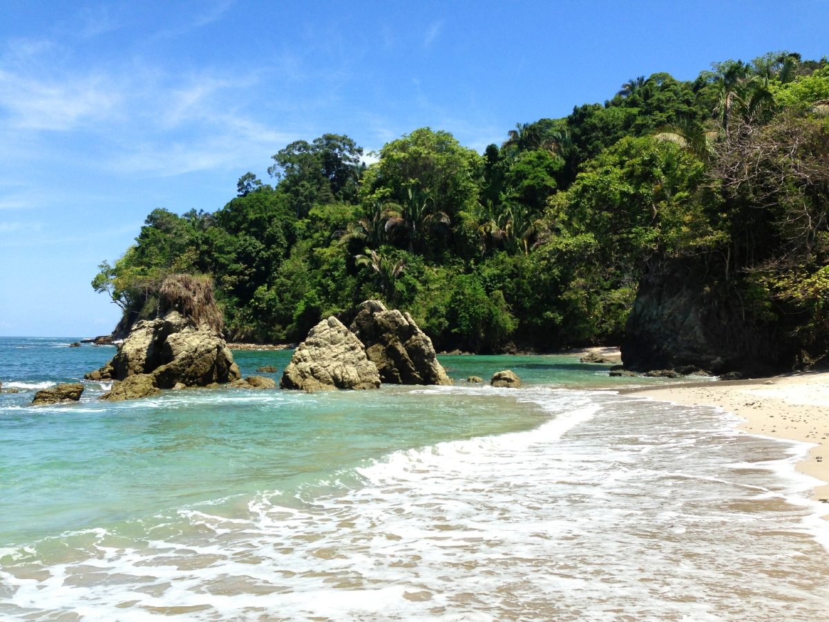 Bluezzz Manuel Antonio National Park The Costa Rica News   Bluezzz Manuel Antonio National Park 