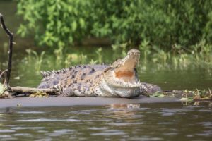 crocs costa rica