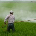 herbicide costa rica