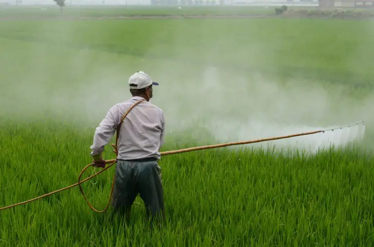 Costa Rica Reduces Agrochemicals by Area Used in Agriculture