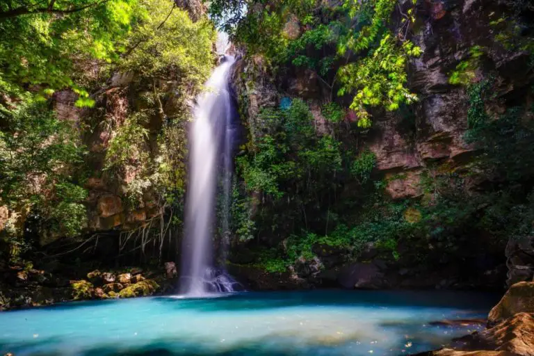 The Treasure of Nature in Costa Rica