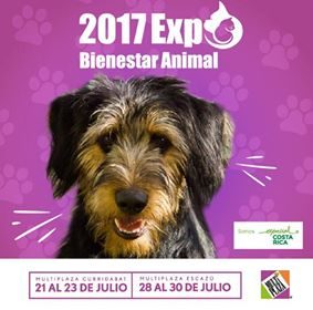 Expo Animal