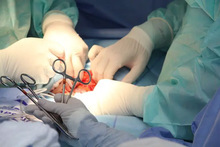 Increase in Successful Tissue and Organ Transplants in Costa Rica