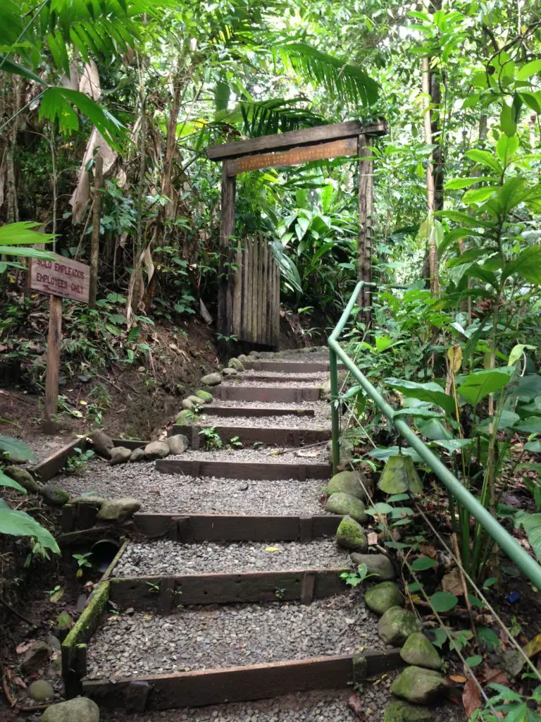 Differences between Ecotourism and Sustainable Tourism in Costa Rica
