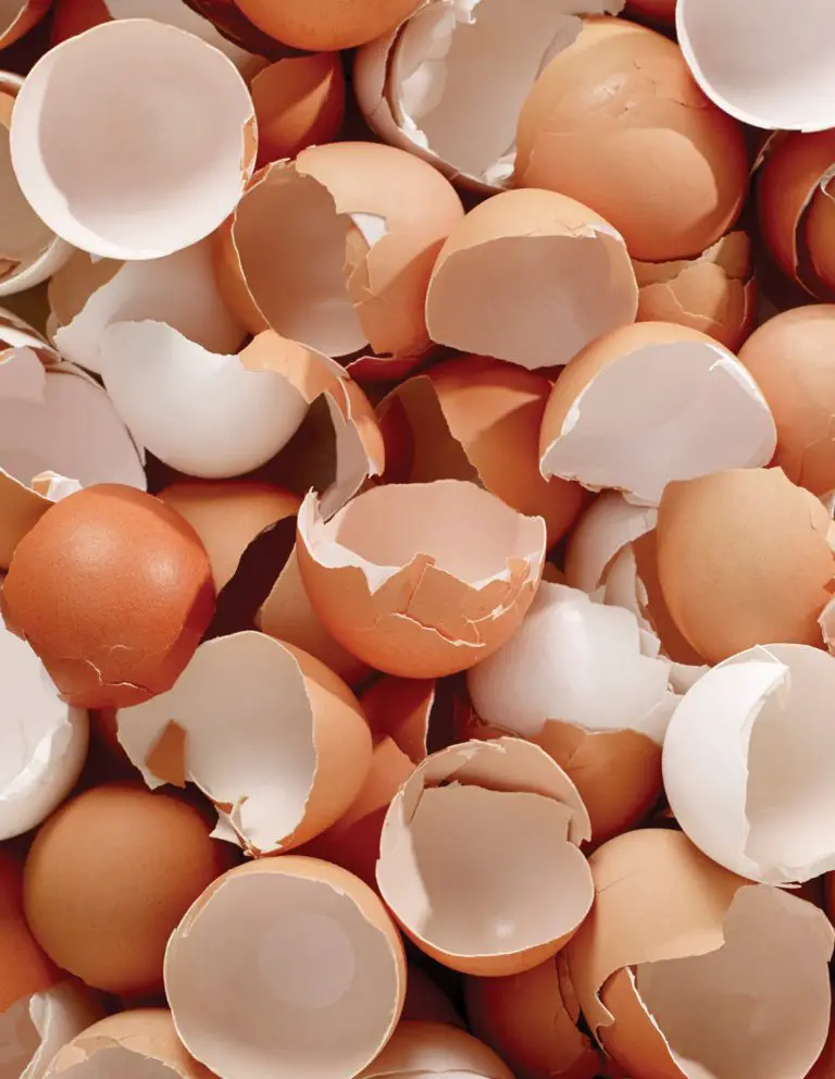Eggshells’ Benefits