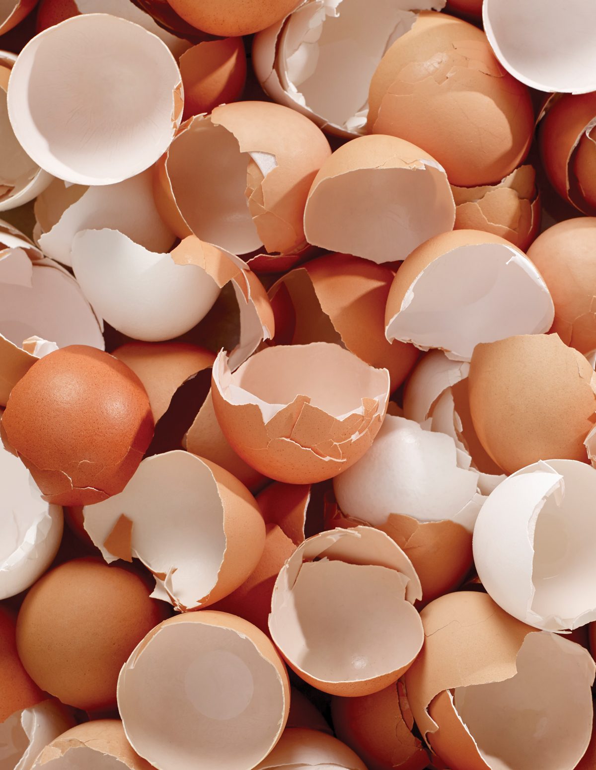 You Are Walking On Eggshells Meaning