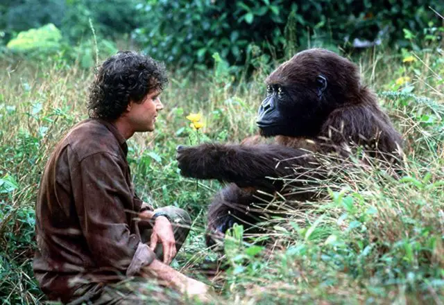Congo was based on true events by portraiting the threat to gorillas population in Congo, Africa.