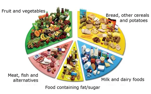 It is necessary to consume different groups of food to have a healthy condition.