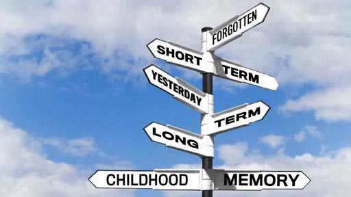 There are 2 main types of human memory: short-term and long-term.