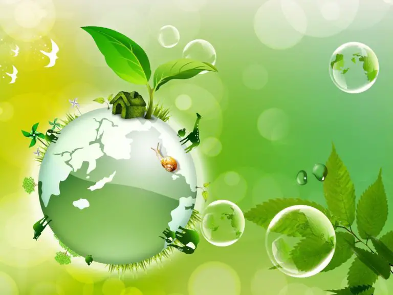 November 1st: “World Ecology Day”