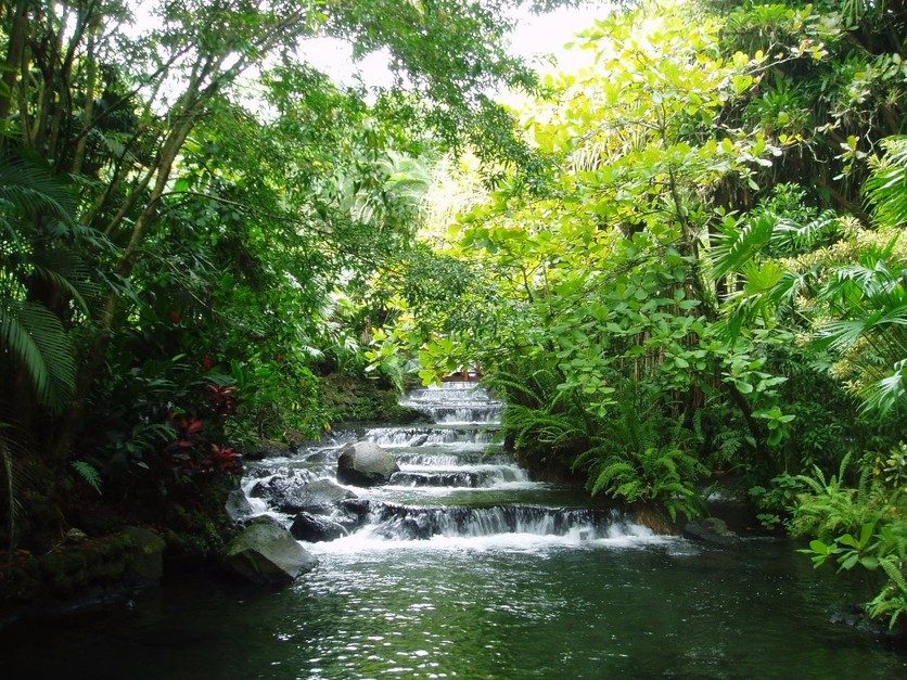 The Renowned Well-Established Costa Rican System of National Parks and ...