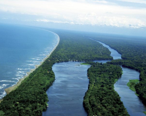 Aerial view of Tortuguero National Park