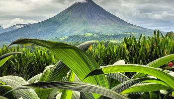 Natural beauty with a distant volcano