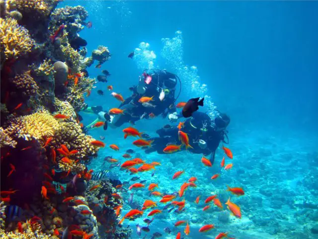 Divers on the reefs of the Cahuita National Park