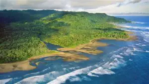 Aerial view of Corcovado National Park