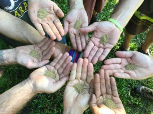 Gnosis Journey Peyote Ceremony