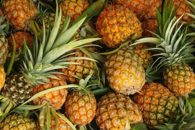 Pineapples are one of the sweetest kind of fruits.