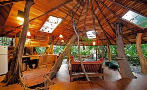 Tree House Lodge