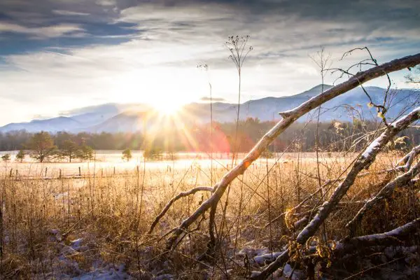 Dawn in the nature