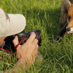 Nature photographer behind scenes animals