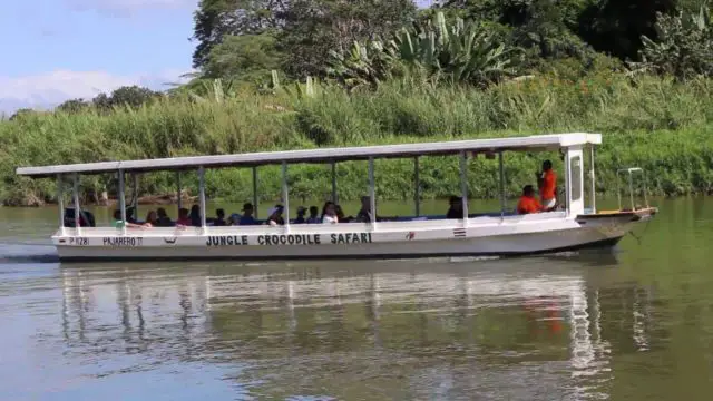 There are many guided tours to watch crocodiles in the wild.