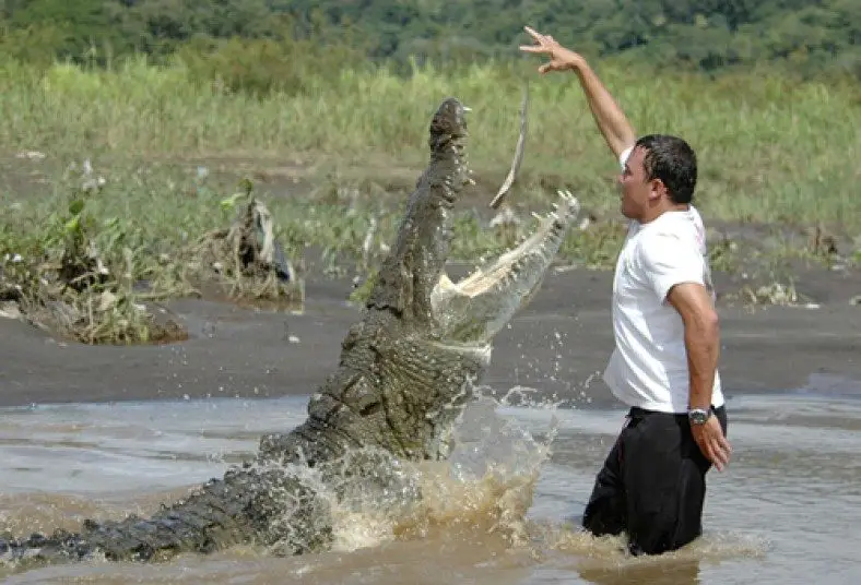 Man Feeding a Crocodile 2 | The Costa Rica News