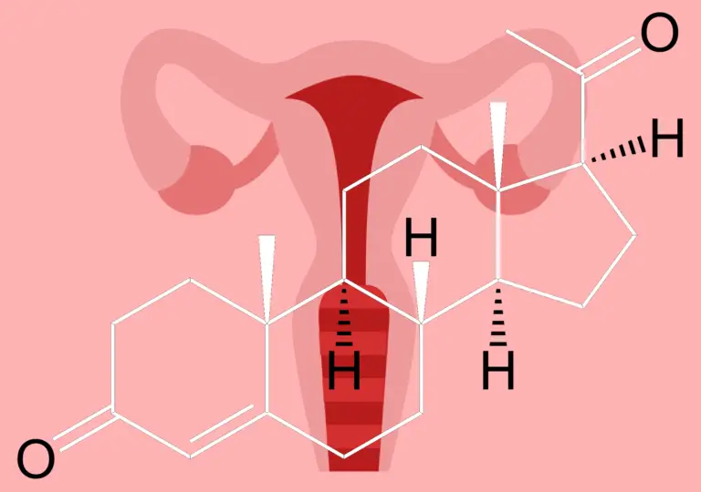 Progesterone-uterus
