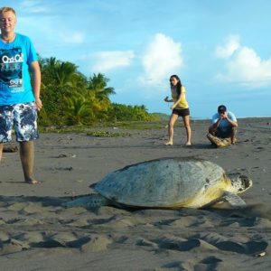 Turtle watching is a popular activity for couples in Tortuguero.