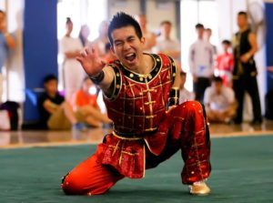 Wushu, aka Kung Fu, is a traditional Chinese martial art that strenghthens mind and body balance.