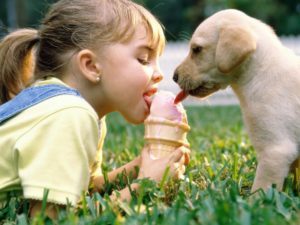 kid and pet