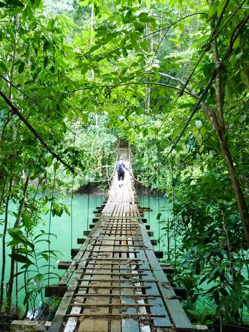 Hanging Bridges in Costa Rica ⋆ The Costa Rica News