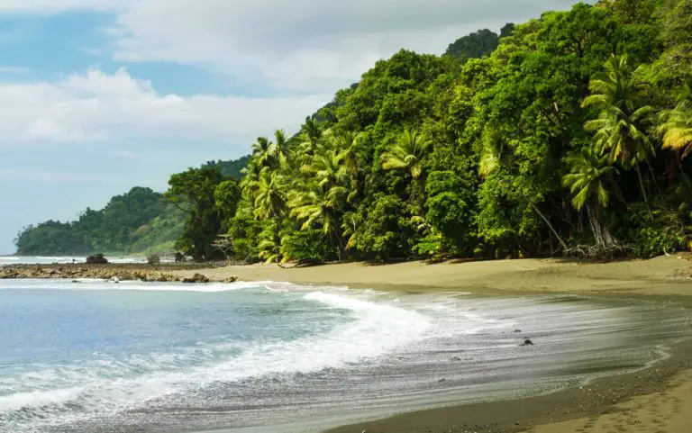 National Parks in Costa Rica Will Offer Free Internet to Their Visitors