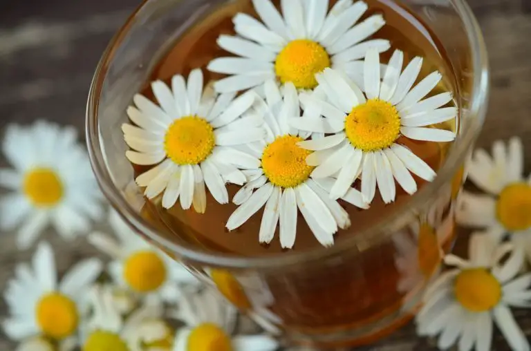 Say goodbye to the flu with home remedies